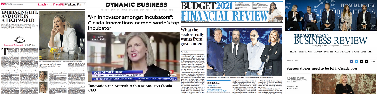 Header - Cicada creating a category leader